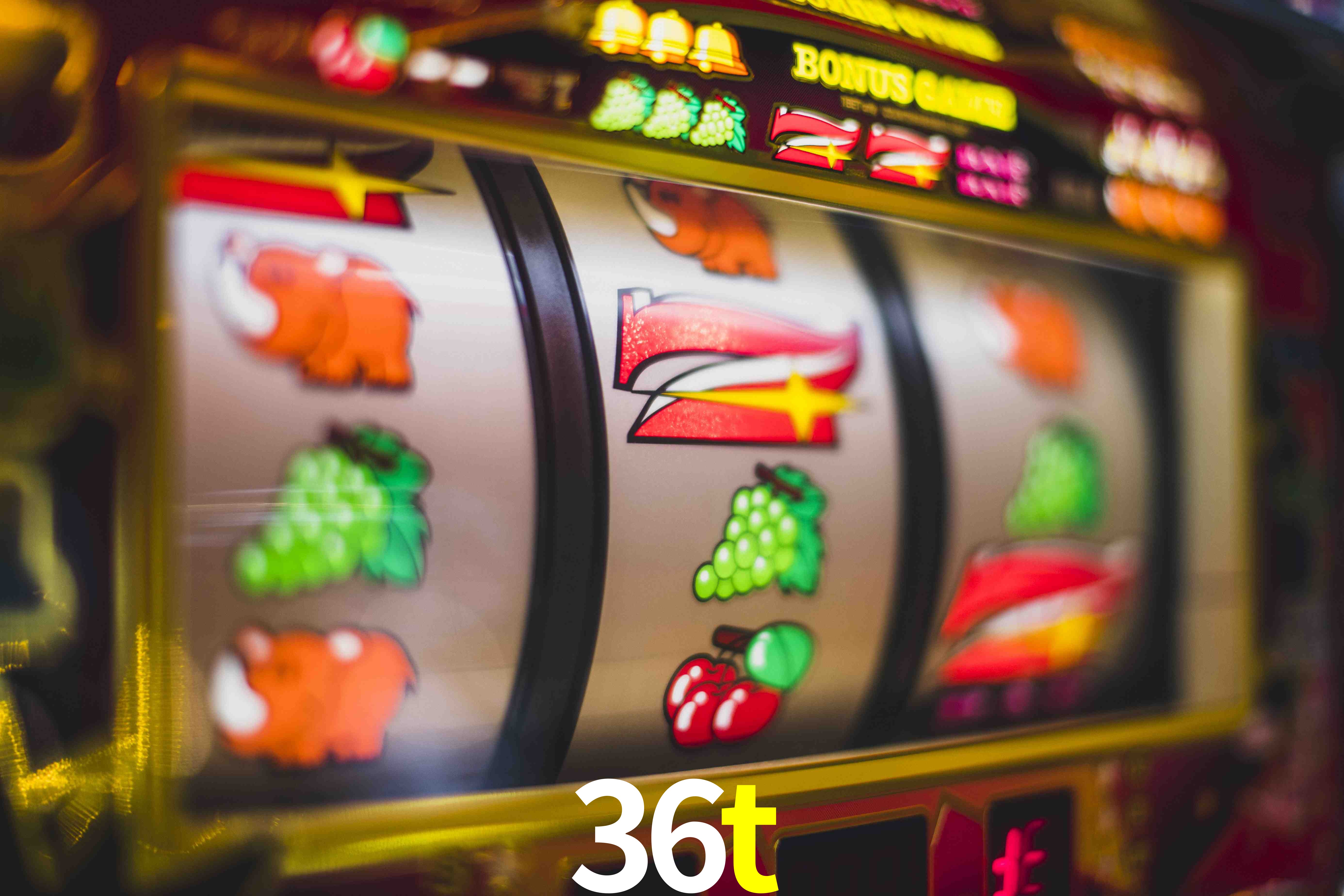 Sports Statistics 36t